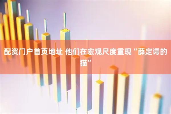 配资门户首页地址 他们在宏观尺度重现“薛定谔的猫”