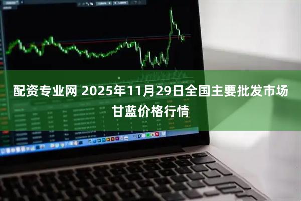 配资专业网 2025年11月29日全国主要批发市场甘蓝价格行情