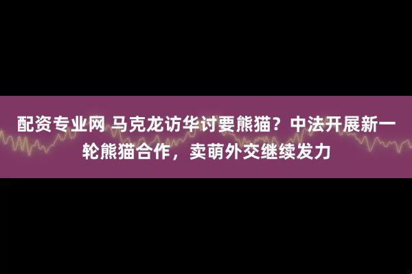 配资专业网 马克龙访华讨要熊猫？中法开展新一轮熊猫合作，卖萌外交继续发力