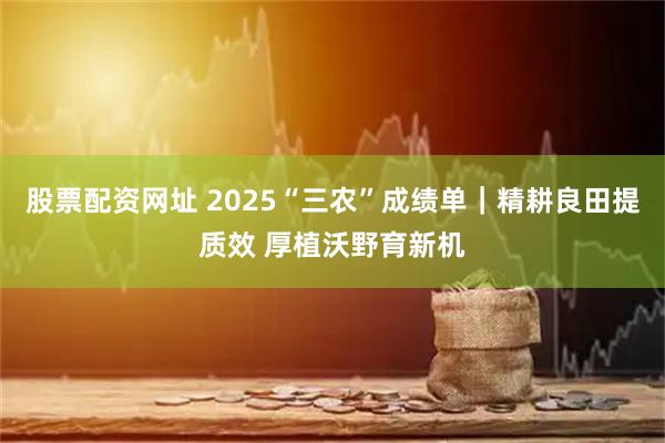 股票配资网址 2025“三农”成绩单｜精耕良田提质效 厚植沃野育新机
