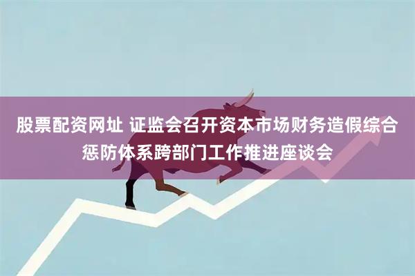 股票配资网址 证监会召开资本市场财务造假综合惩防体系跨部门工作推进座谈会